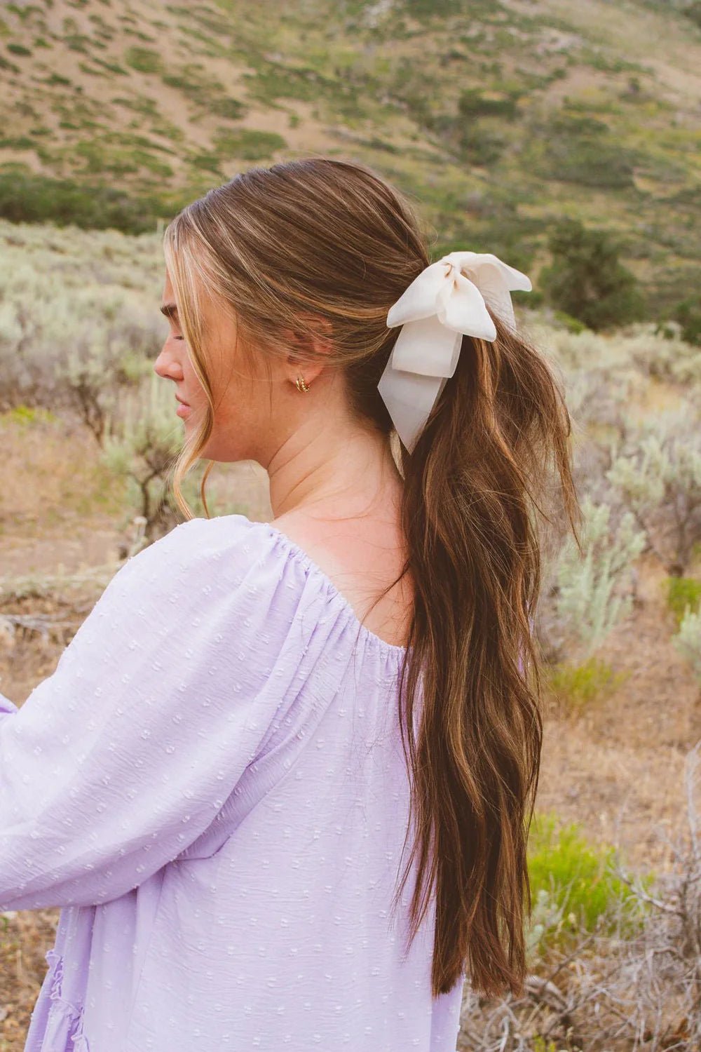 Sheer Bow Banana Clip - 2 Colors - The Dragonfly Boutique