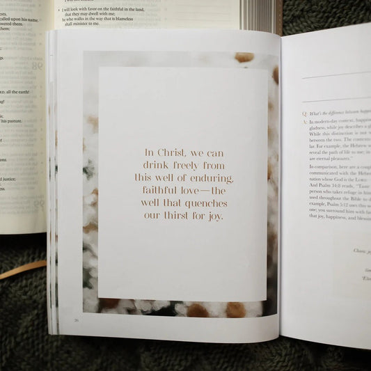 A Joy that Endures | How Jesus Is the Source of Unshakable Joy - The Dragonfly Boutique