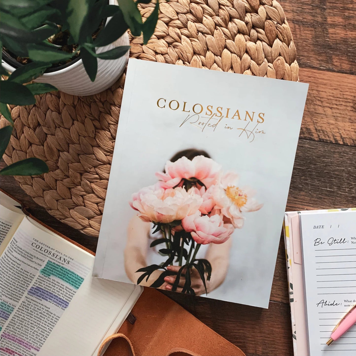 Colossians, Rooted in Him Devotional - The Dragonfly Boutique