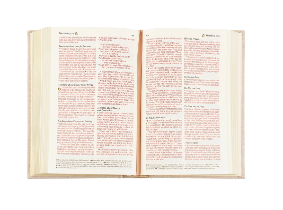 NLT Compact Bible: Casablanca Theme - The Dragonfly Boutique