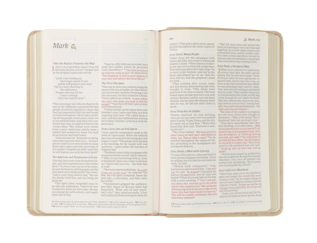 NLT Compact Bible: Sonora Theme - The Dragonfly Boutique