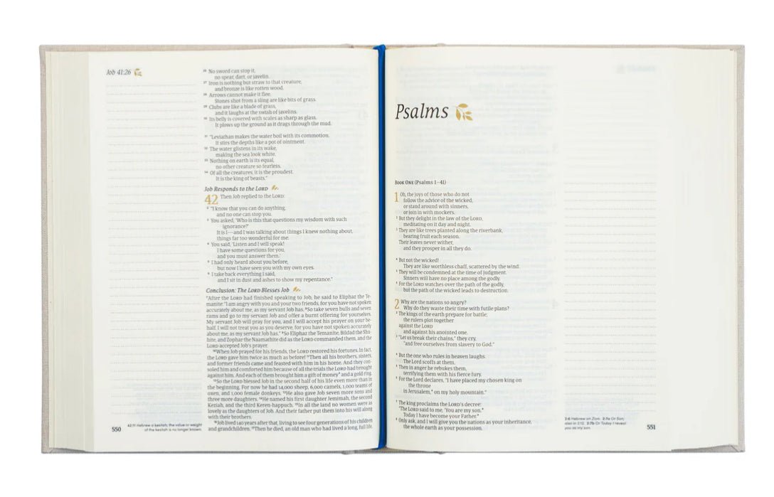 NLT Notetaking Bible: Adelaide Theme - The Dragonfly Boutique