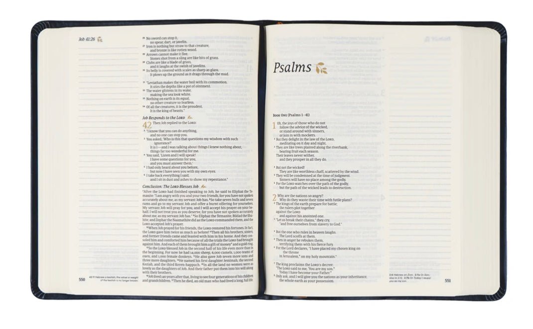 NLT Notetaking Bible: Versailles Theme - The Dragonfly Boutique