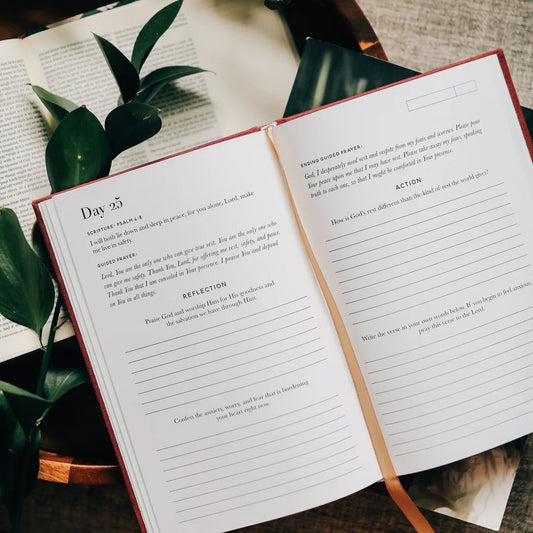 Scripture for Anxiety Journal - The Dragonfly Boutique