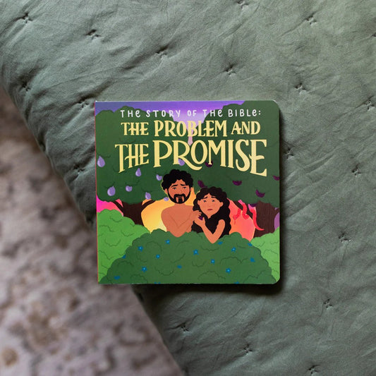 The Story of the Bible: The Problem and the Promise - The Dragonfly Boutique