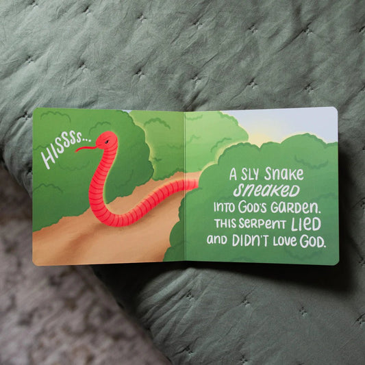 The Story of the Bible: The Problem and the Promise - The Dragonfly Boutique