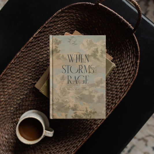 When Storms Rage Devotional - The Dragonfly Boutique